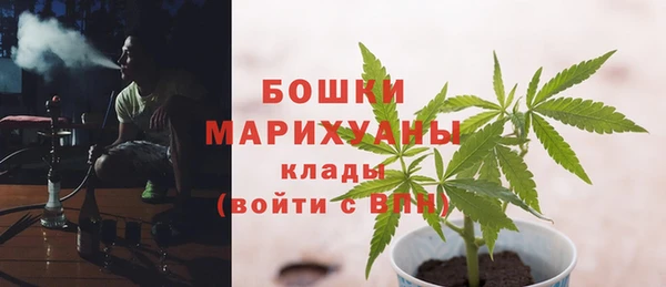 соль ск Арсеньев