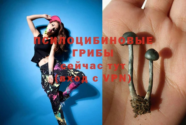 соль ск Арсеньев