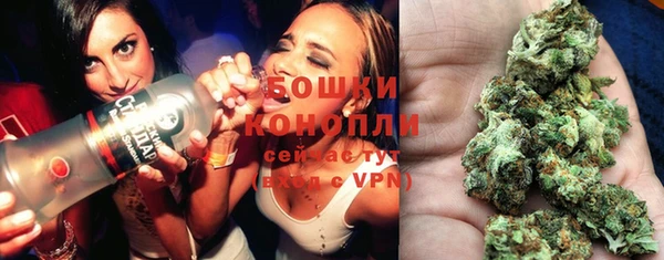 соль ск Арсеньев